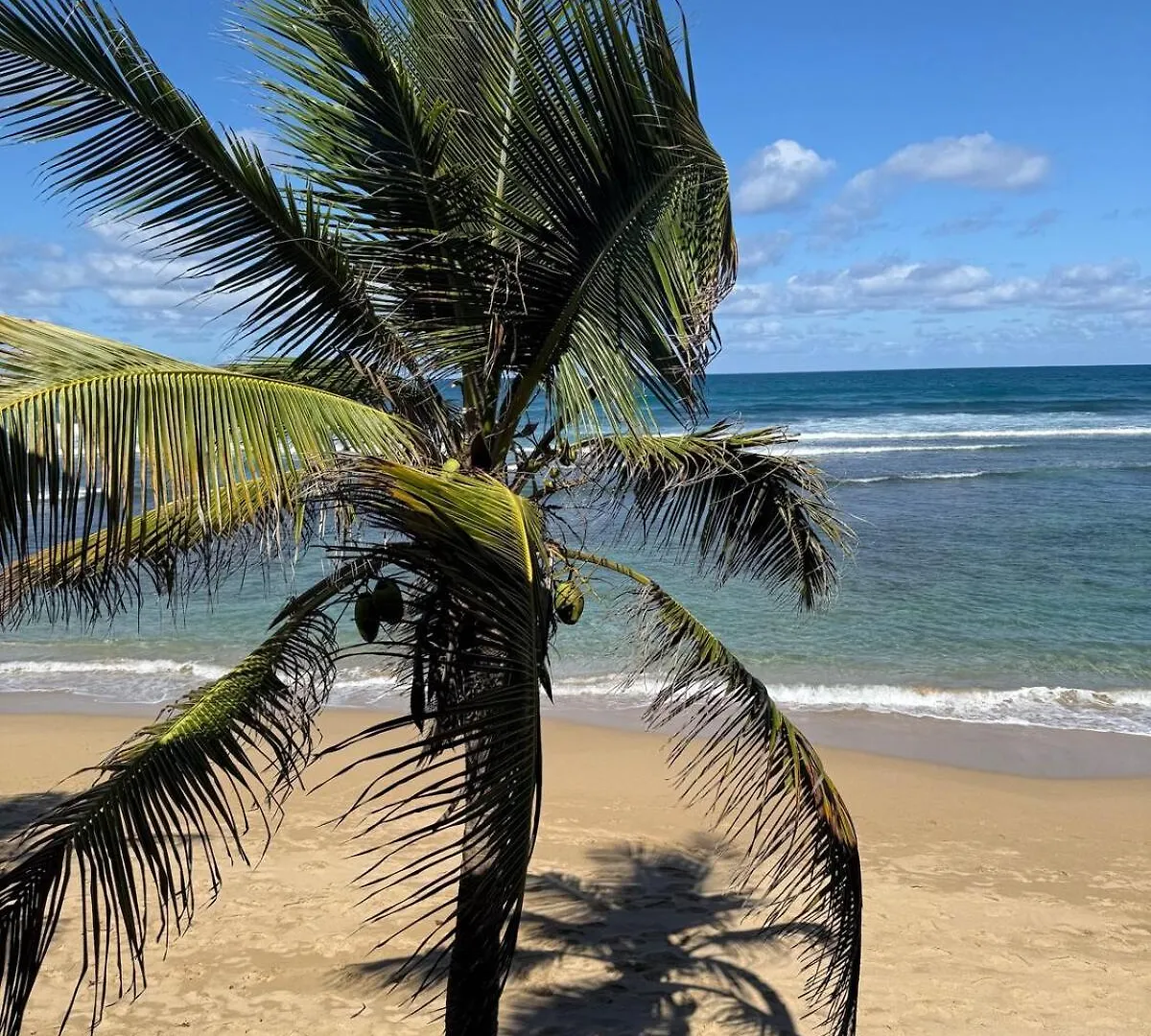 Las Mareas De Isabela Apartment